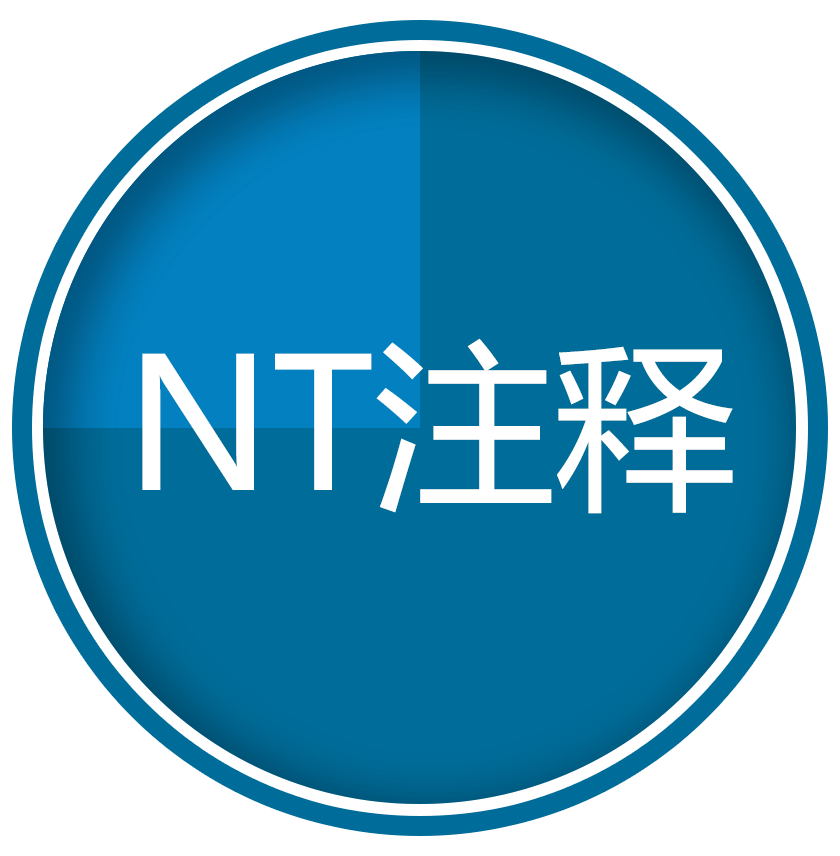 NT注释