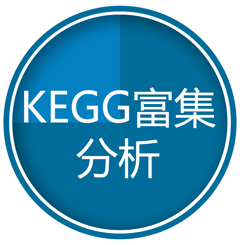 KEGG富集分析