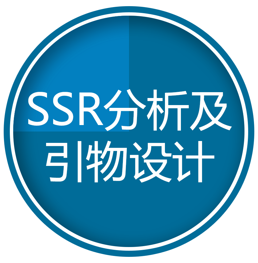 SSR分析及引物设计