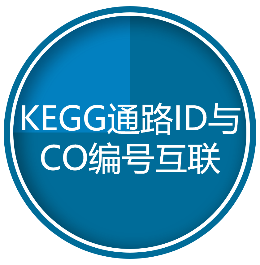 KEGG通路ID与CO编号互联