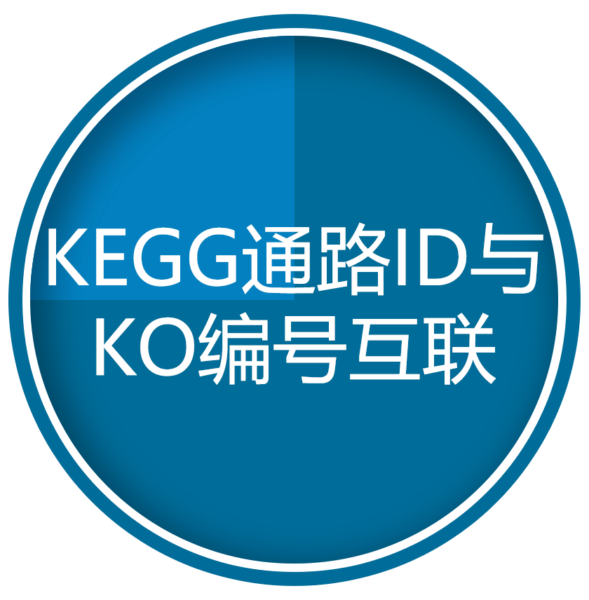 KEGG通路ID与KO编号互联