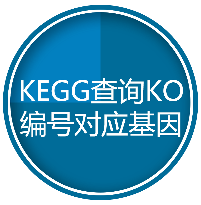 KEGG查询KO编号对应基因