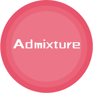 群体结构图--Admixture