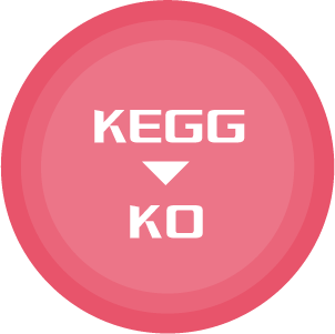 KEGG查询KO编号对应基因